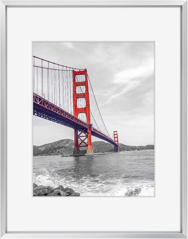 5 Unmatted Aluminum Picture Frames Picks for Stylish Art Display