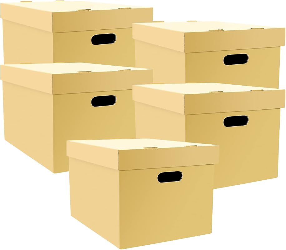 Lineco Archival Storage Cartons, Acid-Free Buffered Corrugated Boxes for Documents and Photos, Pack of 5