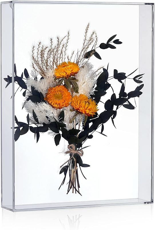 4 Best Acrylic Shadow Box Frame Picks for Artful Home Displays