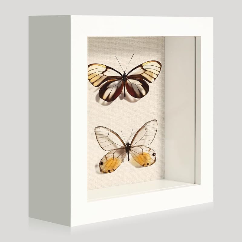 5x5 Small Shadow Box Frame with Soft Linen Back and Tempered Glass