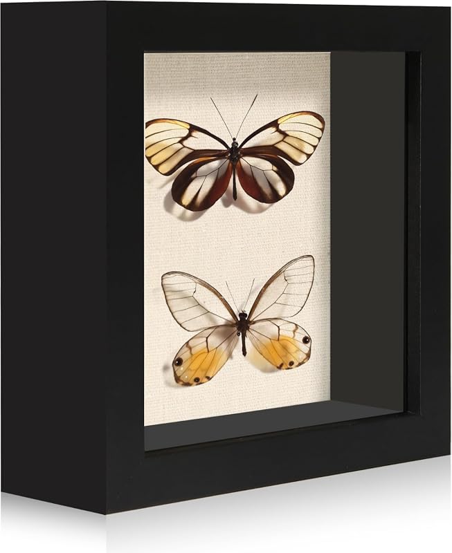 5x5 Small Shadow Box Frame with Soft Linen Back and Tempered Glass Cover