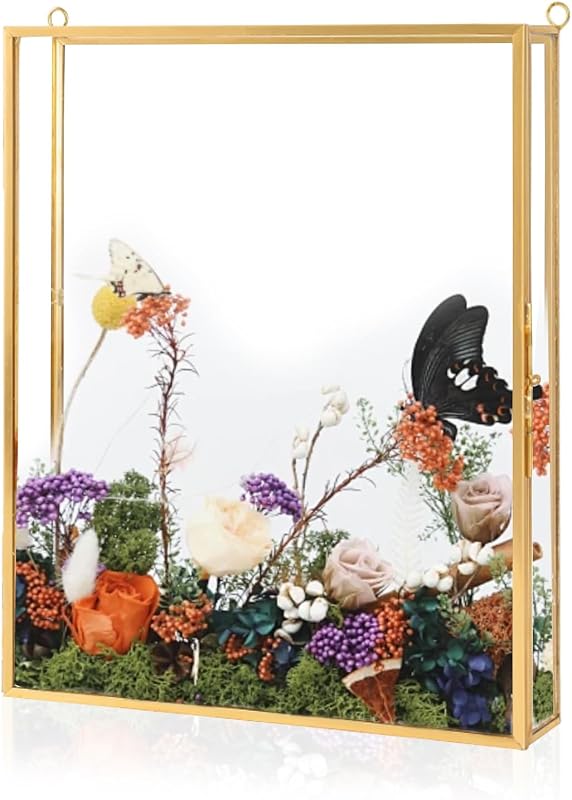 Gold 8x10 Deep Glass Shadow Box Frame for Flowers, Photos, and Keepsakes