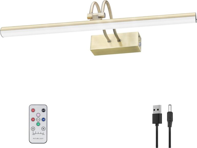 Dimmable Picture Wall Light with Remote
