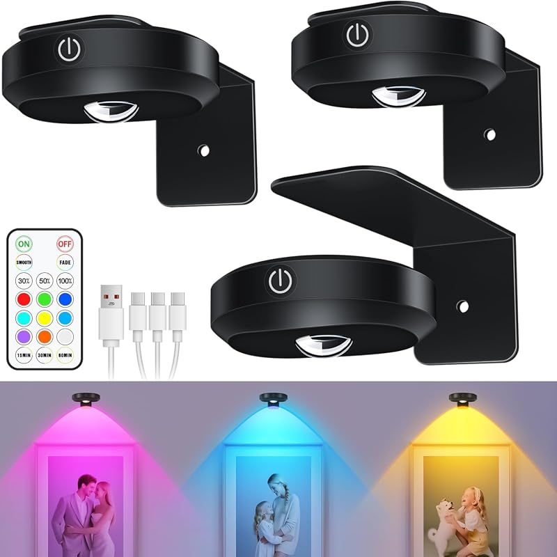 WILLED Rechargeable Picture Lights, 1200mAh Battery, Remote, RGB Dimmable Gallery Lighting, 3-Pack