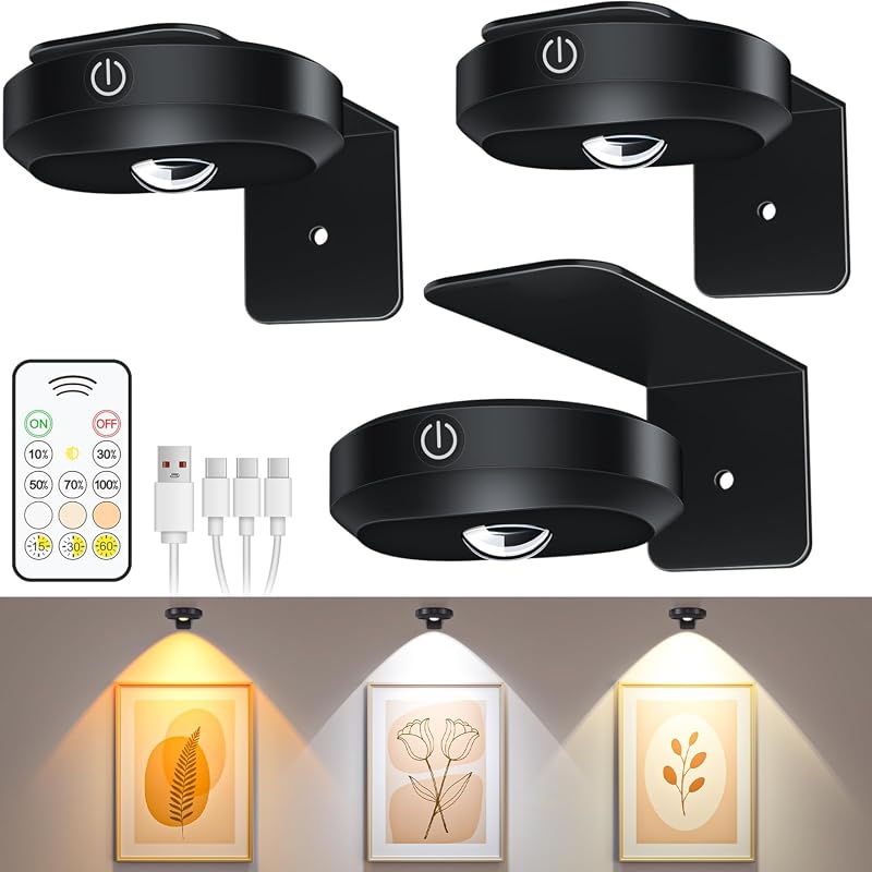 WILLED Rechargeable Picture Frame Light with Remote, Dimmable Timer, Magnetic Battery-Operated Gallery Lighting