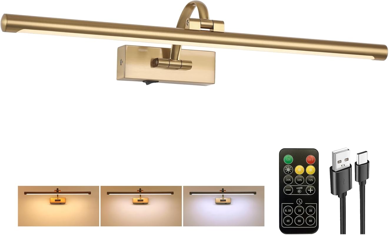 Tassuowell 24-Inch Battery Operated Picture Light, Rechargeable Brass Art Light with Remote and 3CCT Dimming