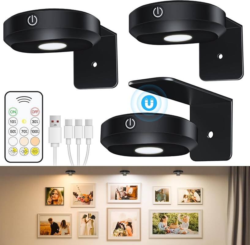 WILLED Rechargeable Wireless Picture Light for Wall, Magnetic Art Lighting with Remote, Dimmable Timer