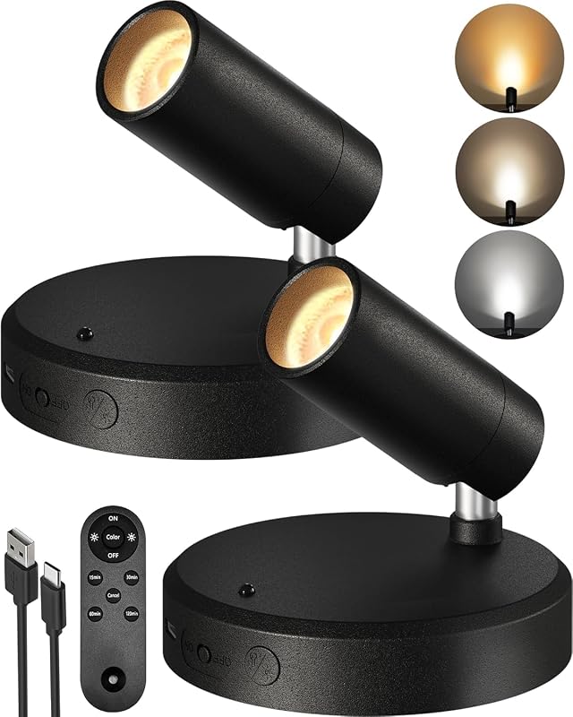 2 Best Wireless Picture Lights with Dusk-to-Dawn Sensors for Ambience