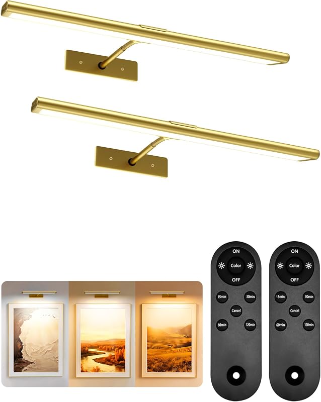 EZVALO Rechargeable Gold Picture Light with IR Remote, Dimmable Magnetic LED, 3-Color, 2-Pack
