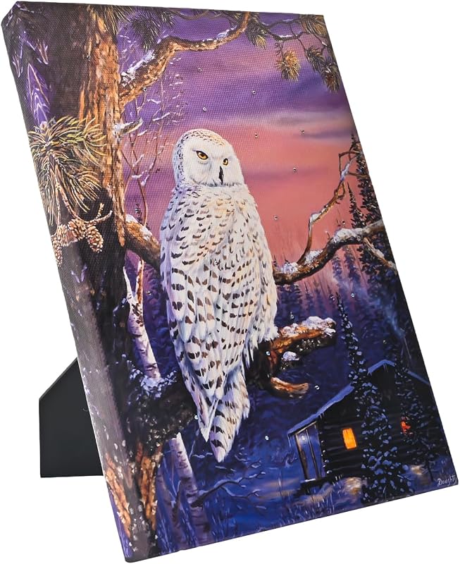 DEMAGNNIE small LED Christmas canvas wall art snow owl winter scene