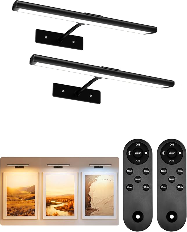 EZVALO 13-Inch Black Picture Light Set, 2-Pack