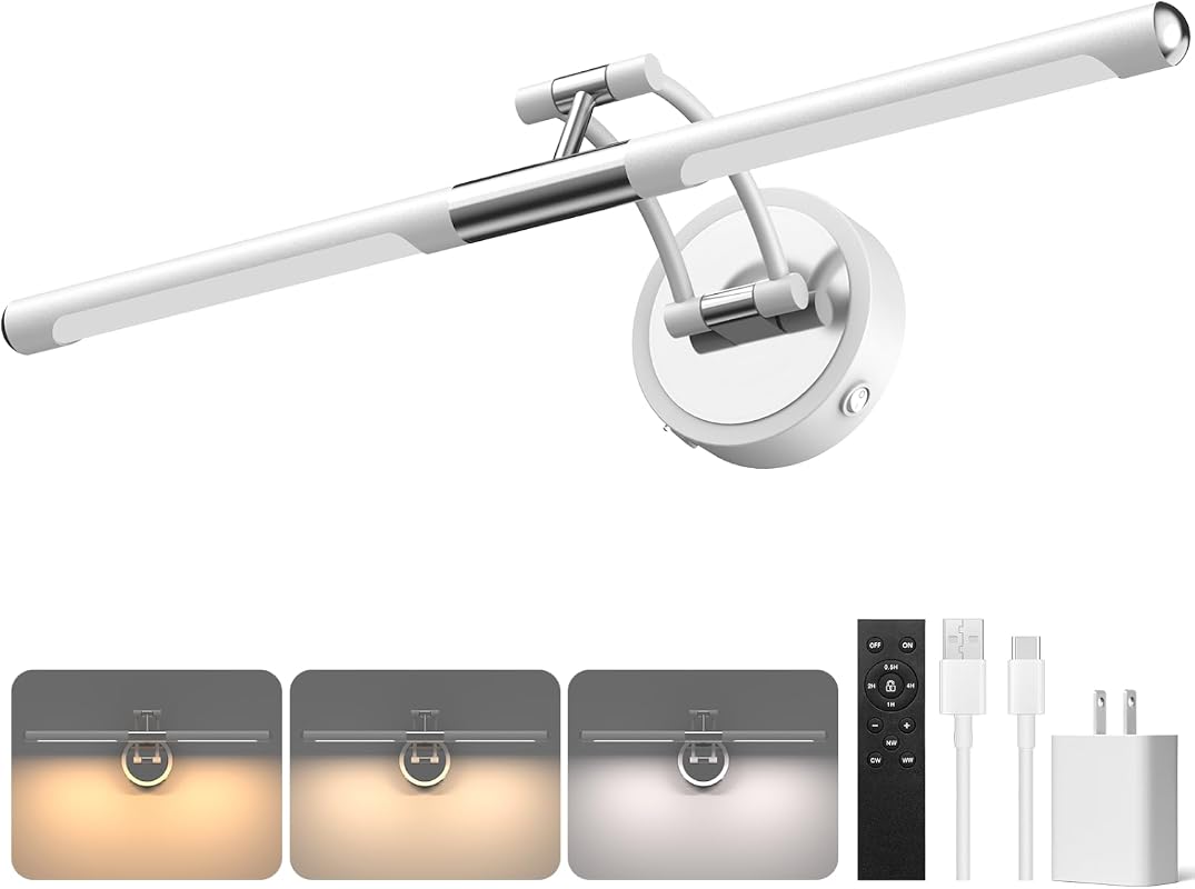 22-Inch Rechargeable Picture Light with Remote, 3CCT Dimmable Wall Art Frame Lamp