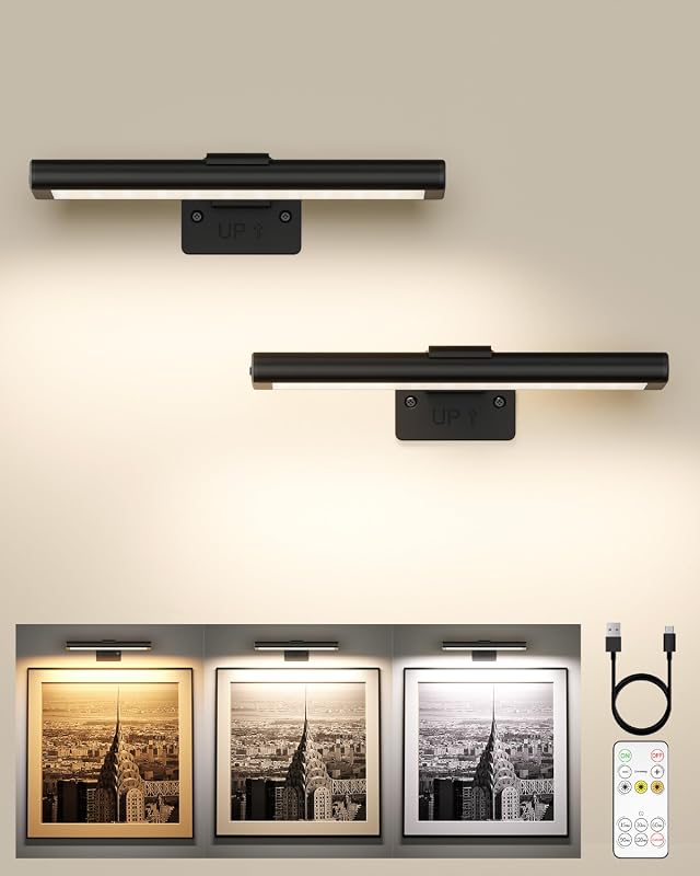 EZVALO 7.87-Inch Picture Light black rechargeable 2-pack