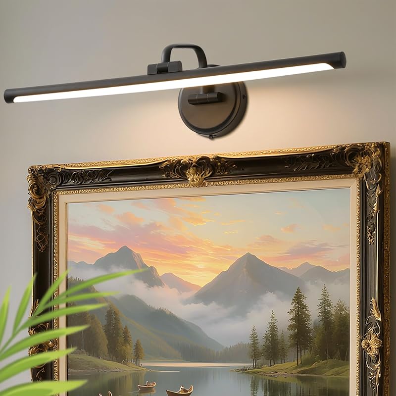 24-Inch Hardwired Dimmable Picture Light, Adjustable Swing Arm, 3CCT LED Art Display Lamp