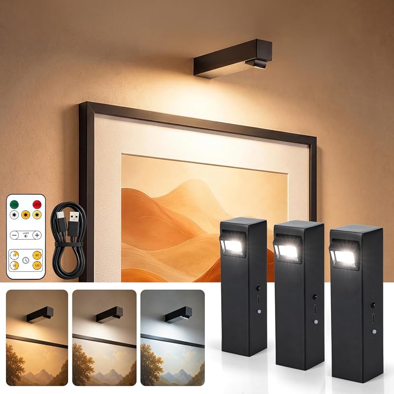 Rechargeable metal picture lights with adjustable head and remote in black 3-pack