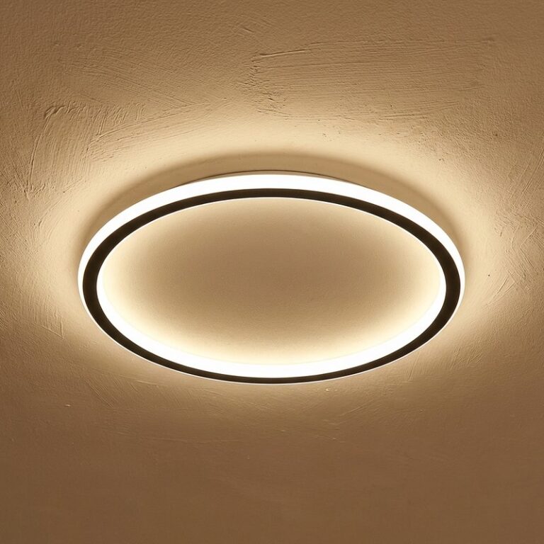 Round Ring Light for Ceiling