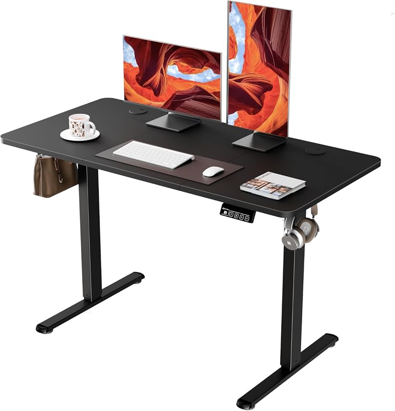 ERGOMAKER Electric Standing Desk, 120 x 60 cm Height Adjustable Home Office Desk