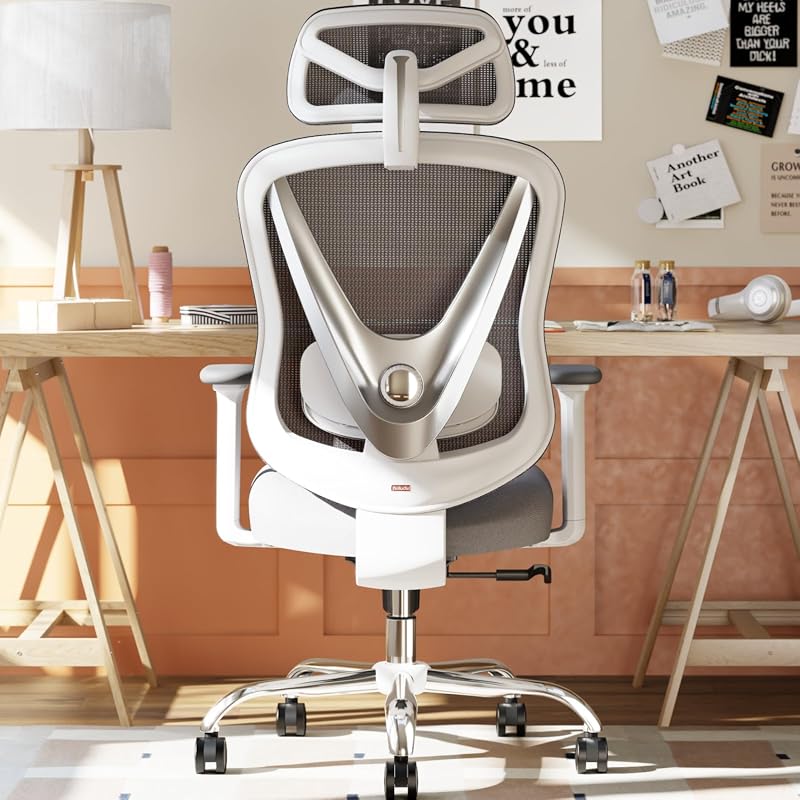 HOLLUDLE Ergonomic Mesh Office Chair with 3D Lumbar Support, 3D Armrests, and V-Back